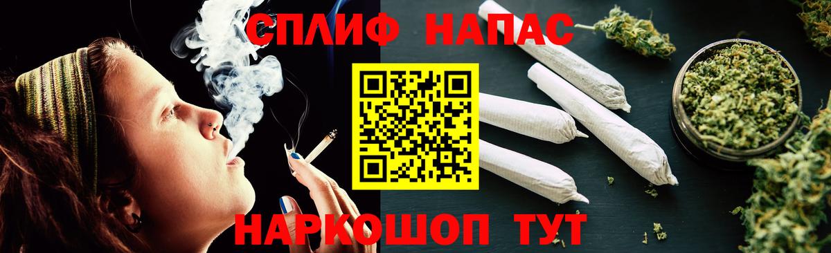 Каннабис индика Нефтекумск